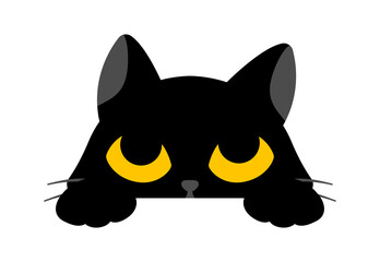 Black cute cat is looking up on white background