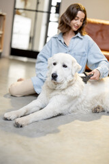 Woman combs the dog's hair with a brush