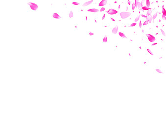 Pink Rose Petal Vector White Background. Color Romantic Lotus Petal Illustration. Peach Petal Japan Congratulation. Falling Apple Petal Template.