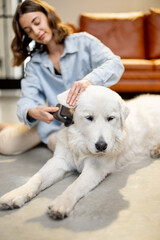 Woman combs the dog's hair with a brush