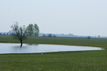 Beautiful landscape. Lake. Nature.