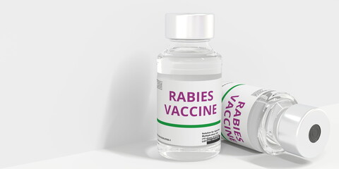 RABIES VACCINE text on the label of the medical vials. 3D rendering