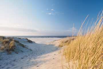 Path to the beach and ocean at the baltic sea - obrazy, fototapety, plakaty