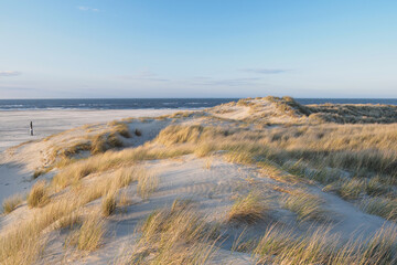 Dunes and beach. North sea
