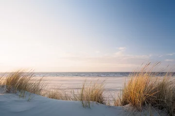 Abwaschbare Fototapete Nordeuropa Goldenes Dünengras am Strand