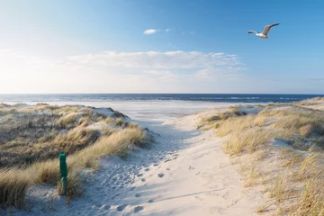 Fototapete Nordeuropa Strand, Dünen, Möwe an der Nordsee