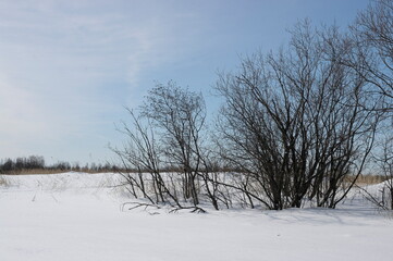 early spring in the North of Russia. Frozen river, trees in frost