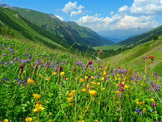 Obraz premium Arkhyz mountains nature and beauty of Russia