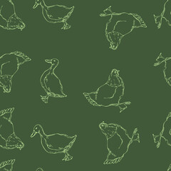vector illustration seamless pattern the contour of a chicken and a duck of white color on a dark gray background,slate board