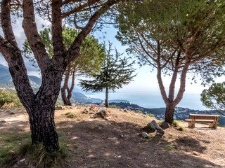 Fototapeta na wymiar Banc et pin parasol pour un magnifique panorama sur la mer sur la Côte d'Azur