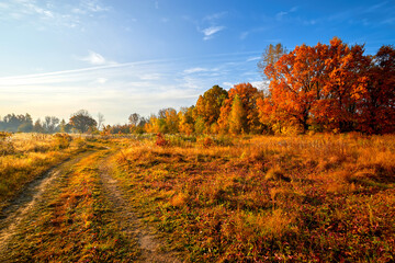 Fototapeta premium Autumn landscape. Beautiful sunny autumn day. Golden woods and blue sky.