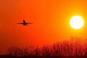 plane in the sunset