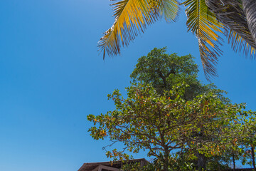 Playa el Obispo La Libertad, El Salvador