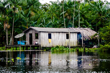 Palafitas t&iacute;pica com floresta de A&ccedil;a&iacute;  da regi&atilde;o Amaz&ocirc;nica.