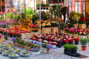 Flower stall selling various colorful bouquets and pots with succulents and boxwood (Karlsruhe, Germany)