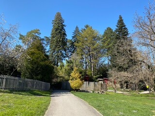 Japanese Garden (Jardin japonais), Conservatory and Botanical Garden of the City of Geneva...