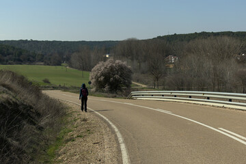 Fototapeta premium Woman walking on the road