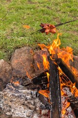 Tasty sausage roasted on the campfire. Sausage on a stick over the fire. Preparing sausages on camp fire