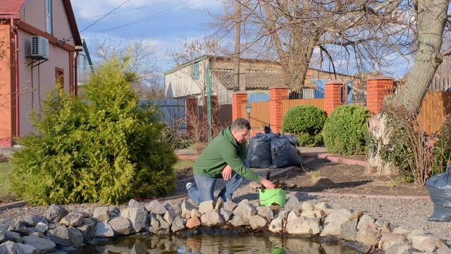 Mature adult caucasian man cleans kneeling fish pond with hands from water plants and falling leaves. Spring seasonal pond care after winter. 