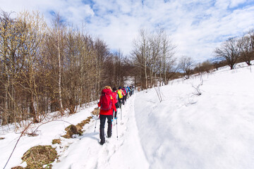 Fototapeta na wymiar Group of hikers walking on the hike trail on snow winter day.