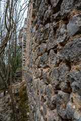 an old castle ruin on the mountain
