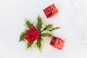 embroidered branch of holly in the snow