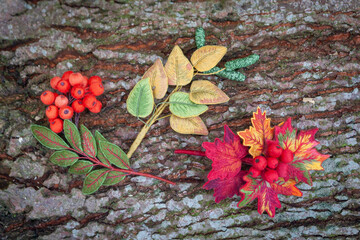 three embroidered brooches on a natural background