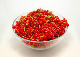 Large bowl of red currant with sprigs on a white background.