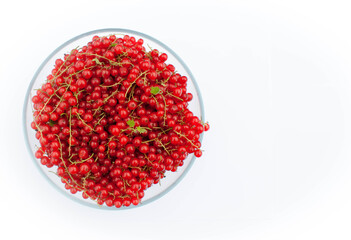 Large bowl of red currant with sprigs on a white background.