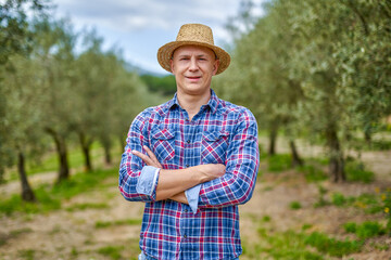 Olive grower working in olive grove.