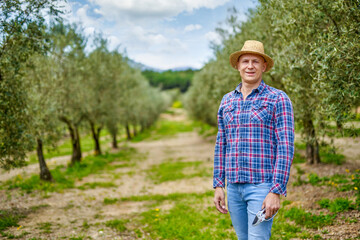 Naklejka na ściany i meble Man farmer with straw hat at olive plantation.