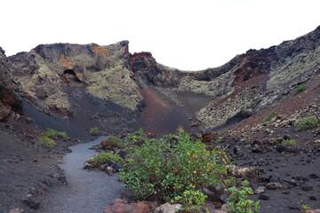 Paysage Volcanique Lanzarote Îles Canaries Espagne