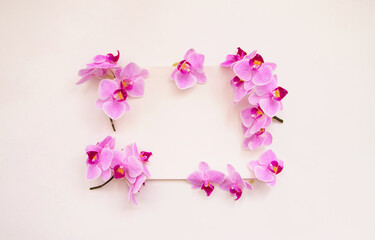 Frame of orchid flowers on a white background. An invitation or a postcard for a holiday.