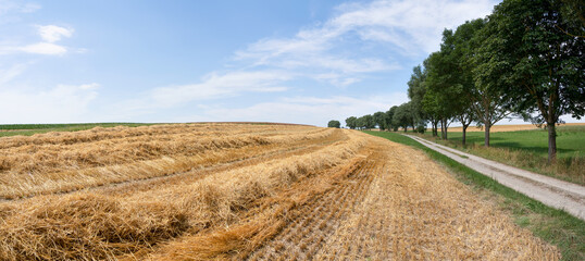 Stoppelfeld mit geerntetem Stroh neben einem Feldweg - ländliches Panorama im Sommer