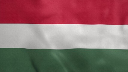 Fototapeta premium National flag of Hungary blowing in the wind. 3d rendering
