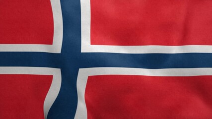 Fototapeta premium National flag of Norway blowing in the wind. 3d rendering