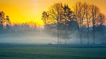 Fototapeta na wymiar A beautiful springtime dawn landscape before the sunrise. Soft, diffused light over the rural scenery during spring. Misty landscape of Northern Europe.