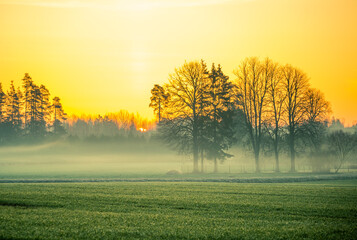 Fototapeta na wymiar A beautiful springtime dawn landscape before the sunrise. Soft, diffused light over the rural scenery during spring. Misty landscape of Northern Europe.