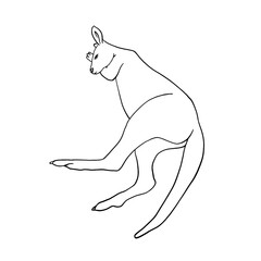 Hand drawn outline image of a kangaroo. Vector sketch of Australian animal isolated on white background. Doodle style illustration.