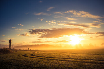 Naklejka na ściany i meble A beautiful misty morning over the spring fields. Sunrise with fog on grain fields.
