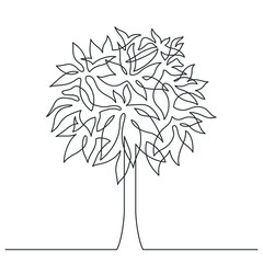 Continuous line drawing of tree. Money tree on white background. Vector illustration