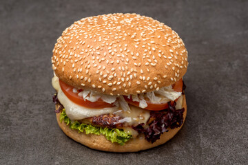 Burger with onion, tomatoes and meat on the dark background