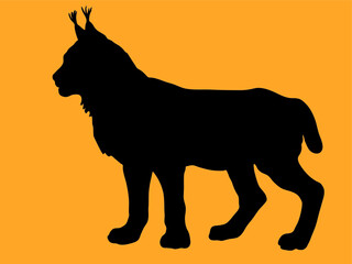 forest lynx vector-isolated images on a white background in a low-poly style, amber color © Viktoria Suslova