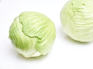white cabbage on a white background