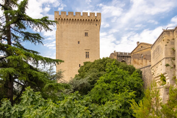Avignon, the palais des papes, beautiful monument in the south of France
