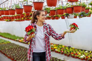 Smiling female entrepreneur standing in greenhouse and holding pots with red flowers.