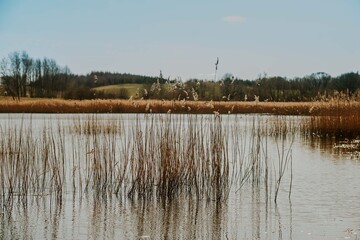 spokojny widok nad stawem