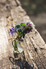 Spring flowers scilla in a glass bottle on a wooden background.