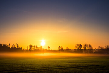 A beautiful misty morning over the spring fields. Sunrise with fog on grain fields.