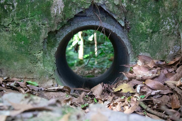 wheel in the park in autumn